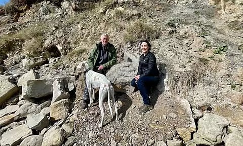 இங்கிலாந்தில் 3.3 அடி நீளம் கொண்ட டைனோசர் கால்தடம் கண்டுபிடிப்பு - 16 கோடி ஆண்டுகளுக்கு முந்தையது என தகவல்