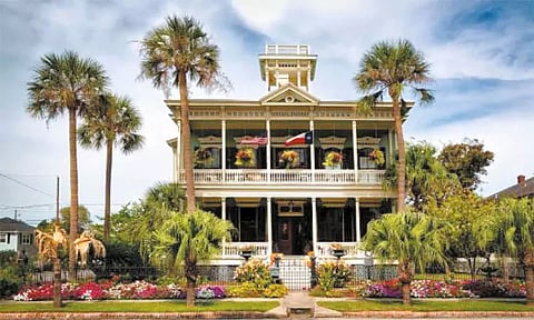 கோடை வந்துவிட்டது வீட்டை குளுமையாக்குவோமா!!