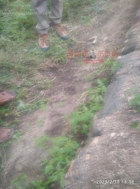 பாண்டமங்கலம் அருகே சிறுத்தைப்புலி நடமாட்டம்