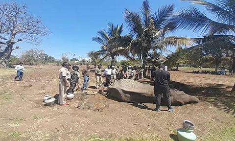 மின்வேலியில் சிக்கி உயிருக்கு போராடிய காட்டு யானையை காப்பாற்றிய பந்திப்பூர் வனத்துறையினருக்கு பிரதமர் மோடி பாராட்டு