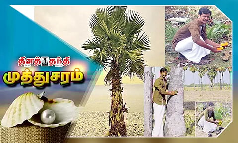 பனை வளர்ப்பில் அசத்தும் பட்டதாரி..!