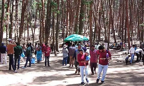 கொடைக்கானலில் குவிந்த சுற்றுலா பயணிகள்