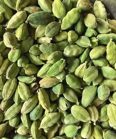 போடியில் ஏலக்காய் விலை அதிகரிப்பு