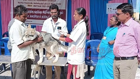 வெறிநோய் தடுப்பூசி முகாம்