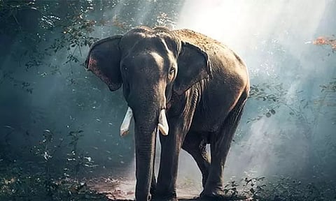 கோப்புப்படம்