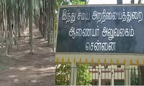 கிழக்கு கடற்கரை சாலையில் அறநிலையத்துறைக்கு சொந்தமான சவுக்கு தோப்பில் 10 கி.மீ. தூர சுற்றுச்சுவர் கட்டும் பணி தீவிரம்