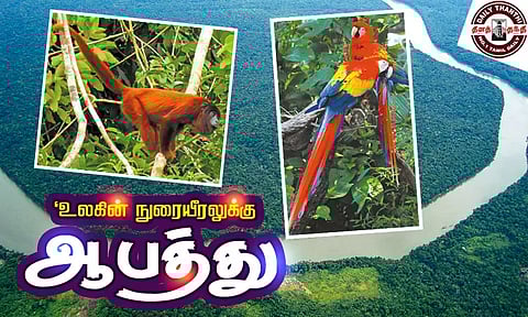 'உலகின் நுரையீரலுக்கு' ஆபத்து