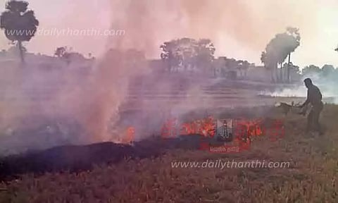 அறுவடை செய்த நெல் வயல்களில் தீப்பிடித்தது