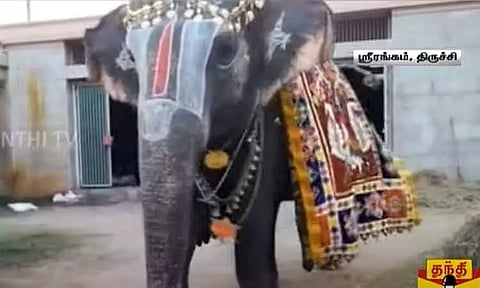 திருச்சி: சிறப்பாக கொண்டாடப்பட்ட கோவில் யானை ஆண்டாளின் பிறந்தநாள்