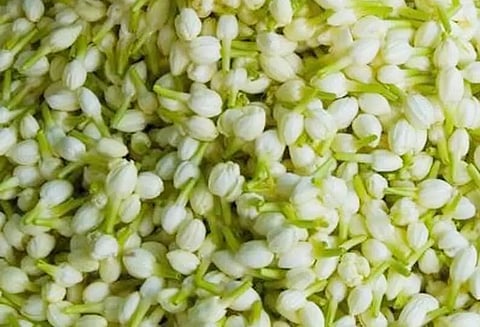 முகூர்த்த நிகழ்ச்சி அதிகம் உள்ளதால் பூக்களின் விலை கிடுகிடு உயர்வு