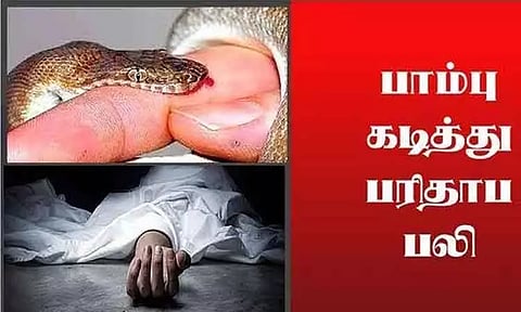 பாம்பு கடித்து பெண் சாவு