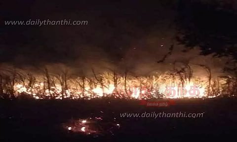 அம்மாபேட்டை அருகேகரும்பு தோட்டத்தில் பயங்கர தீ விபத்து