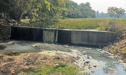குரோம்பேட்டையில் ஆகாயத்தாமரை செடிகளால் அழிந்து வரும் வீரராகவன் ஏரி