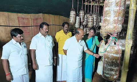 படப்பையில் காளான் வளர்ப்பு மற்றும் விற்பனை மையம்