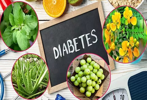 நீரிழிவு நோயை கட்டுப்படுத்தும் மூலிகைகள்