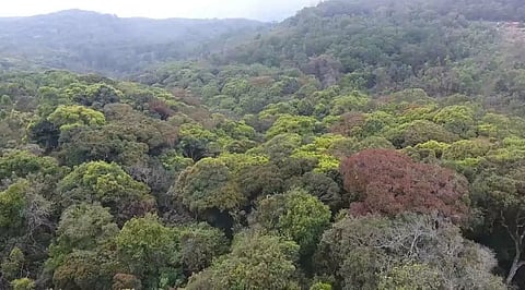 பேரிஜம் ஏரிக்கு செல்ல சுற்றுலா பயணிகளுக்கு தடை