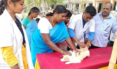 வெறிநோய் தடுப்பூசி முகாம்