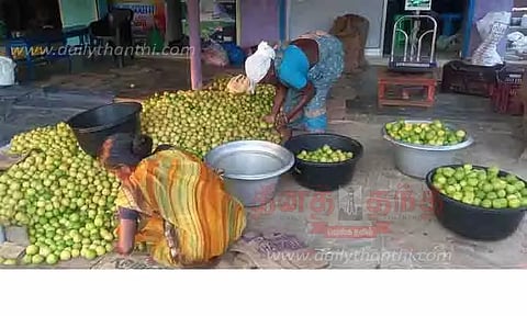 எலுமிச்சை பழங்கள் கிலோ ரூ.60-க்கு விற்பனை