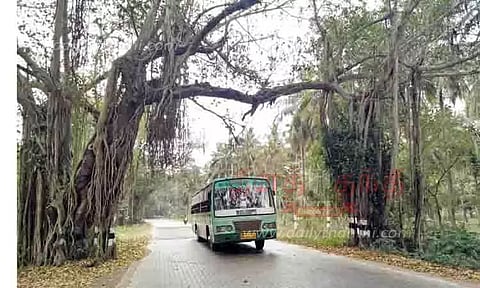 ஆலமர நுழைவுவாயில்