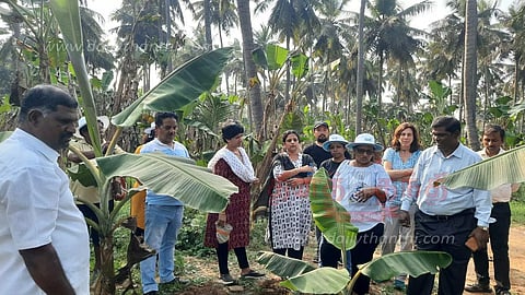வாழை சாகுபடி குறித்து கேட்டறிந்த வெளிநாட்டு ஆராய்ச்சியாளர்கள்