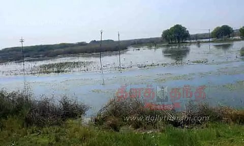 வெள்ளரி விவசாயம் செய்ய முடியாமல் விவசாயிகள் அவதி