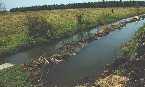 பகிர்மான கால்வாய் உடைந்து வீணாகும் பி.ஏ.பி. தண்ணீர்