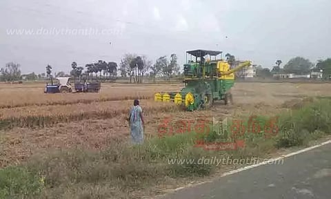 அறுவடை பணிகள் தீவிரம்