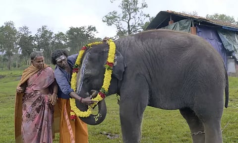 யானைகளை பராமரிக்கும் முதுமலை தம்பதி குறித்த 'தி எலிபெண்ட் விஸ்பர்ஸ்' ஆவண குறும்படத்திற்கு ஆஸ்கர் விருது...!