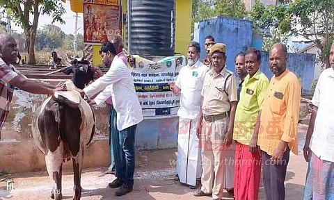 கால்நடை மருத்துவ முகாம்