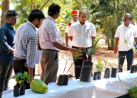 தோட்டக்கலை பண்ணையில் செடிகள், விதைகள் உற்பத்தி பணிகளை கலெக்டர் நேரில் ஆய்வு