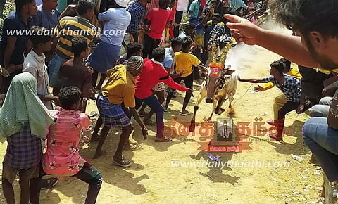 லப்பை கிருஷ்ணாபுரத்தில் காளை விடும் விழா