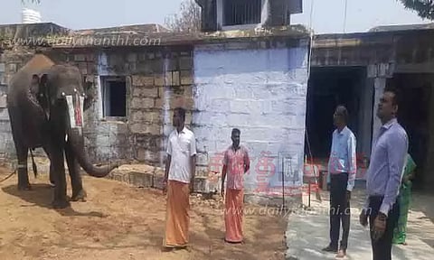 ஸ்ரீவில்லிபுத்தூ ஆண்டாள் கோவில் யானை ஆரோக்கியமாக உள்ளது
