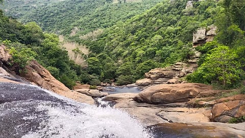 கல்வராயன் மலையில் இருந்து 4 மாவட்டங்களுக்கு சப்ளையாகும் சாராயம்போலீசுக்கு சவால் விடும் வியாபாரிகளுக்கு கடிவாளம் போடுவது எப்போது?