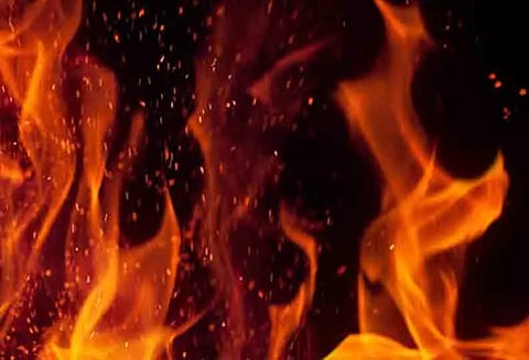 மினி லாரி தீப்பிடித்தது