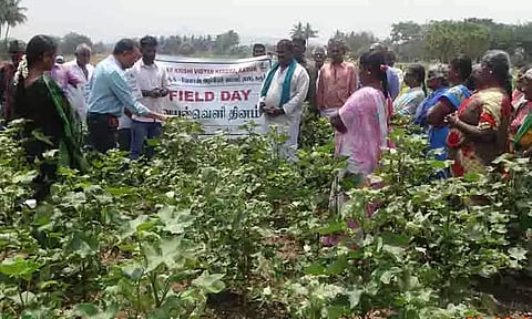 பருத்தி சாகுபடி குறித்து விவசாயிகளுக்கு செயல் விளக்கம்