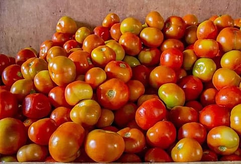 புதுக்கோட்டை உழவர் சந்தையில் காய்கறிகள் விலை குறைந்தது