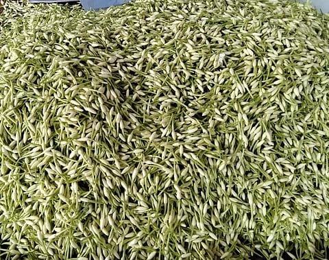 பூக்கள் விலை குறைந்தது