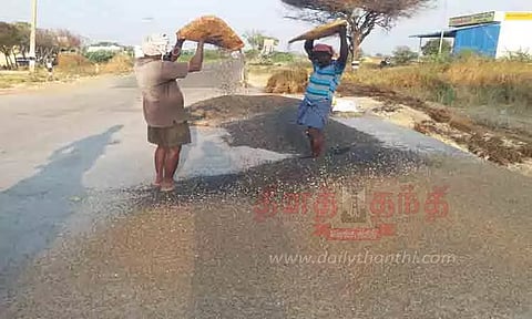 சூரியகாந்தி விதைகளை சாலைகளில் உலர்த்தும் விவசாயிகள்