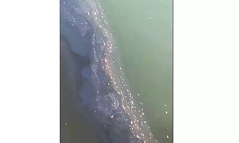 எண்ணூரில் கொசஸ்தலை ஆற்றில் செத்து மிதக்கும் மீன்கள்