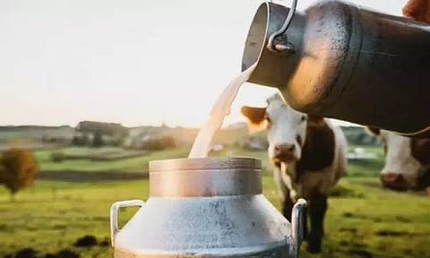 தமிழகம் முழுவதும் இன்று முதல் பால் உற்பத்தியாளர்கள் போராட்டம்