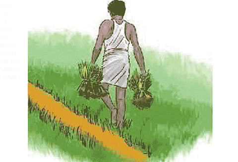 பட்டுக்கோட்டையில், பலத்த மழை