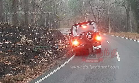 வனவிலங்குகளுக்கு உணவு வழங்கும் சுற்றுலா பயணிகள்