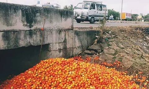 சாலையோரம் கொட்டப்பட்ட தக்காளிகள்