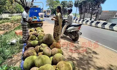 விற்பனைக்காக குவிக்கப்பட்ட பலாப்பழங்கள்