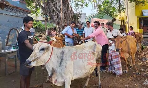 கோமாரி நோய் தடுப்பூசி முகாம்