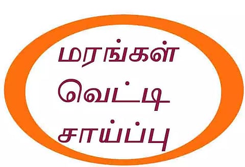சந்தனம், செம்மரங்கள் வெட்டி சாய்ப்பு