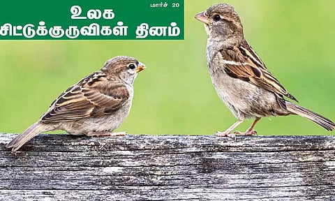 உலக சிட்டுக்குருவிகள் தினம்