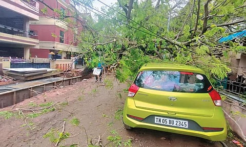 மழைநீர் கால்வாய் பணியின்போது மரம் சரிந்து விழுந்ததில் கார் சேதம்