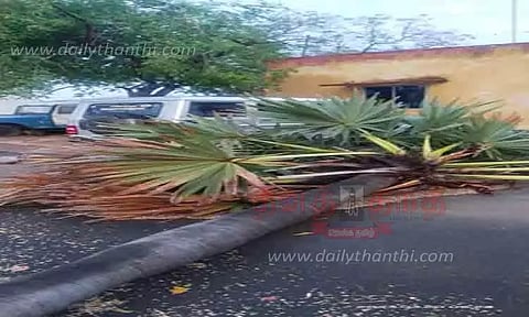 மின்கம்பங்கள், மரங்கள் விழுந்ததால் இருளில் மூழ்கிய கிராமங்கள்