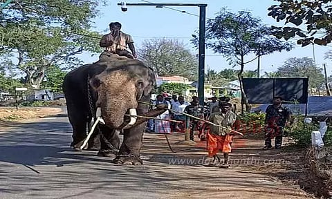 தாளவாடியில் தொடரும் அட்டகாசம்:'கருப்பன்' யானையை பிடிக்க மீண்டும் அழைத்து வரப்பட்ட கும்கி யானைகள்